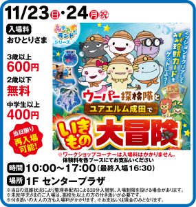 11月23日・24日　みずみずランドシリーズ　いきもの大冒険