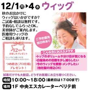 12月1日～4日 ウィッグ