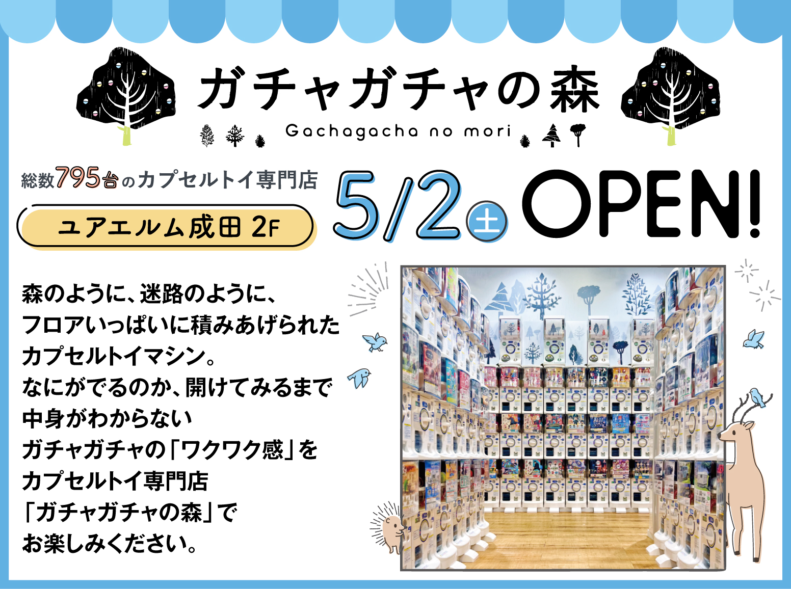 公の場での発言・インタビュー報道記録